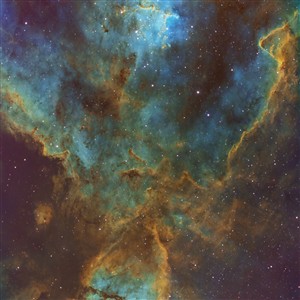 Nebulosa Fish Head + Melotte 15 - SHO